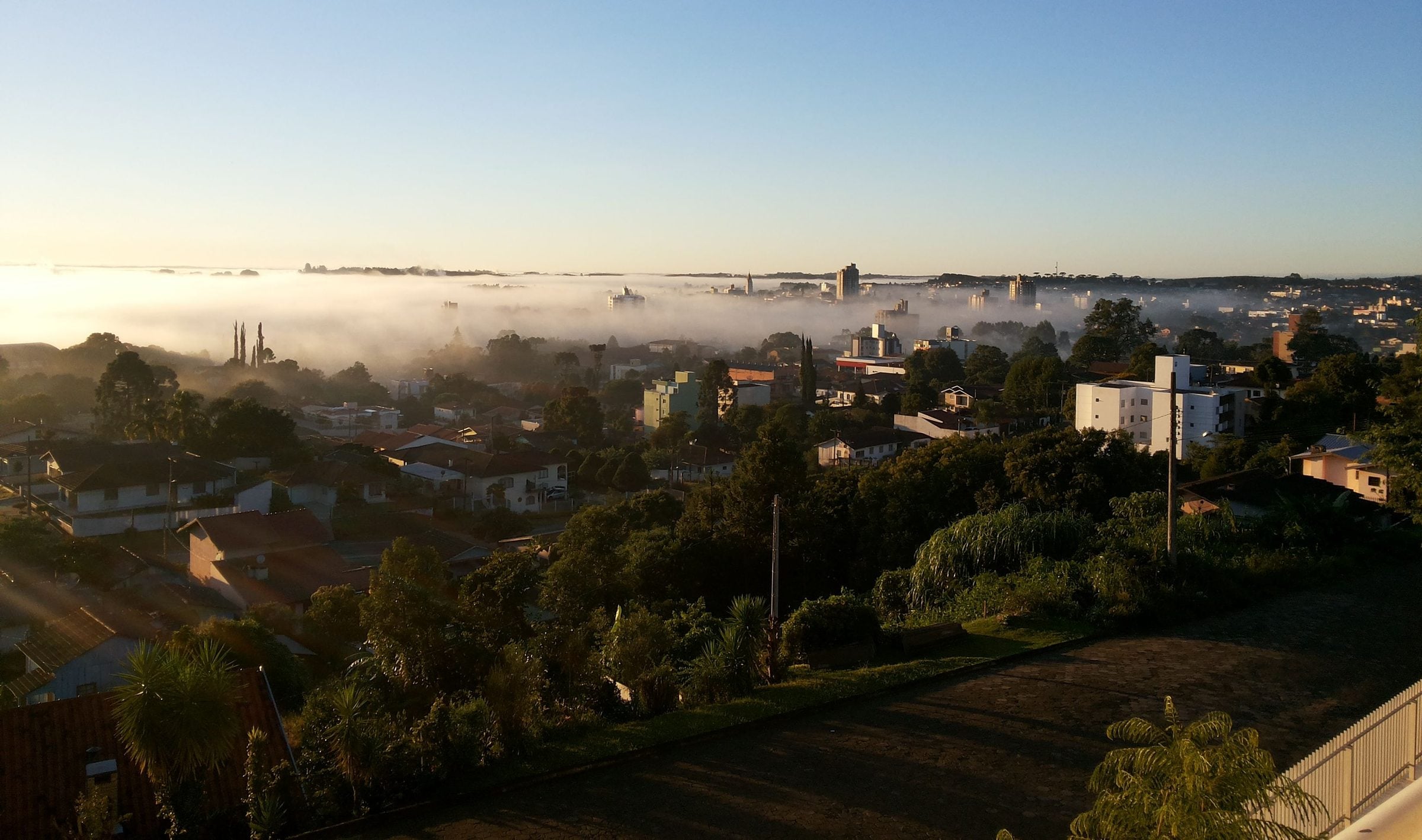 Amanhecer em Canoinhas, com a neblina cobrindo o horizonte atrás das casas e árvores da cidade