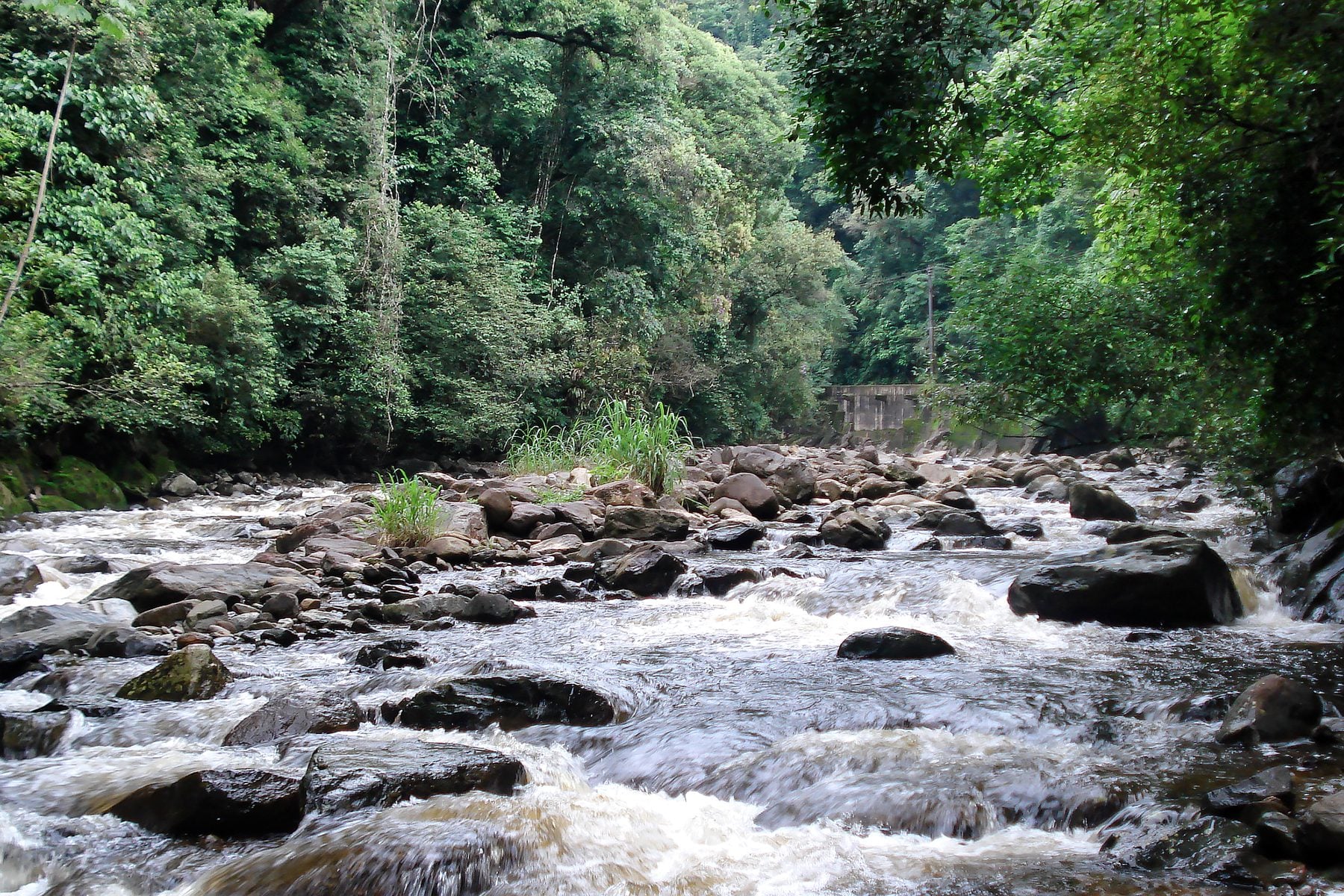 Corredeiras do Rio Pilões em meio à Mata Atlântica, no Núcleo Itutinga-Pilões do Parque Estadual da Serra do Mar, em Cubatão