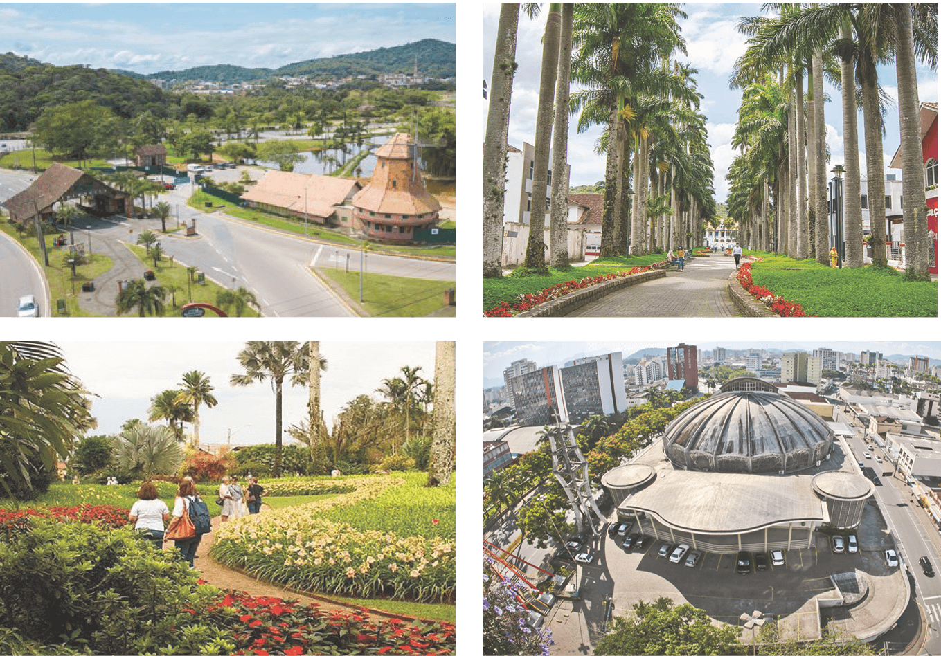 Mosaico de Joinville: pórtico e moinho, Rua das Palmeiras, jardins e Catedral São Francisco Xavier