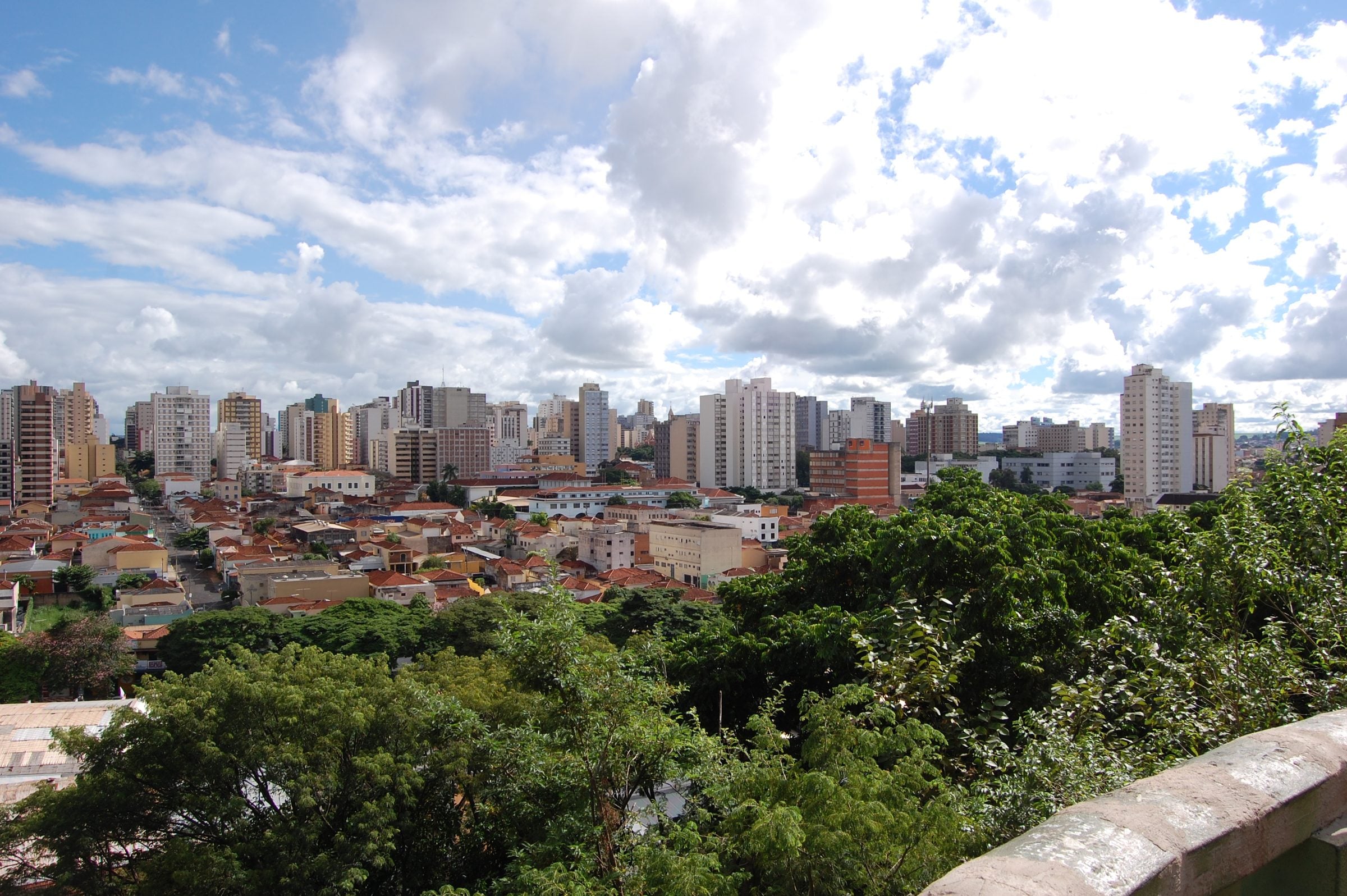 Prédios do centro de Ribeirão Preto vistos do mirante do Bosque Municipal, com a mata em primeiro plano
